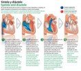 /album/fotogaleria/ciclo-cardiaco-jpg/
